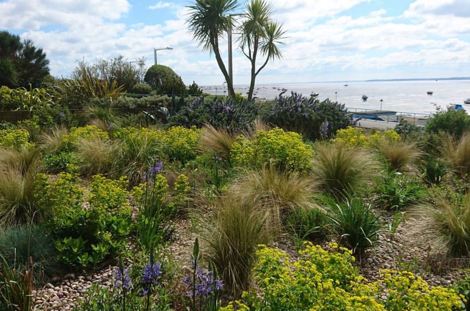 Thorpe Esplanade Garden DMG Landscapes